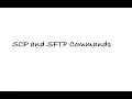 Understanding SCP and SFTP commands