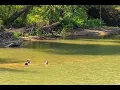 Living in Bryant AR The Ultimate Local Guide Homes com