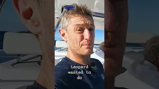 What it’s like to sail the Leopard 46… #luxuryyachtlife #sailingyacht #sailing #sailinglifestyle