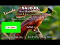 Download Lagu SAJOJO Album Black Brothers versi karaoke
