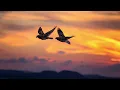 Mann Jogiya - Arijit Singh | Ishita Vishwakarma |