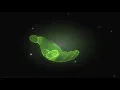 Brillio CX Overview