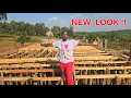 Download Lagu SAD CALL FROM JAMAICA || MASSIVE PROGRESS ON MY MULTI-MILLION VILLA