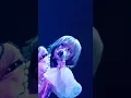 なぜ いまこの手と手握って たしかめた体温を 懐かしく思うのか #Reol #れをる #Q? #オリジナル曲 #JPOP
