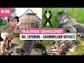 Download Lagu Schimmelalarm 😲 | Der Giebel ist fertig | Fahrradtour und Früchte pflücken | UKF