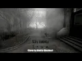 Akira Yamaoka - True (Cover by Dmitry Glushkov) OST Silent Hill 2 (Game)