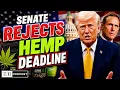 Senate Rejects Budd s Hemp Ban Amendment TDR Cannabis in 5