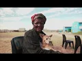 TEARS Animal Rescue Community and Veterinary Outreach