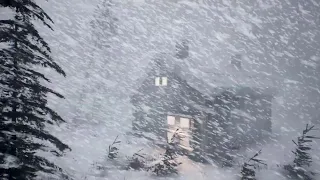 BRUTAL WINTER 2025 IS COMING WILL YOU SURVIVE THE BRUTAL COLD WHITE NOISE For SLEEP 