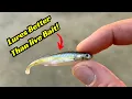 These Minnow Lures Are Better Than Live Bait