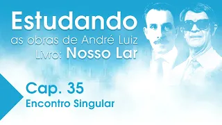 Estudando as Obras de André Luiz | Livro: Nosso Lar - Cap. 35 - Encontro Singular