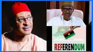 nigerians want referendum not election pat utomi cries out to buhari