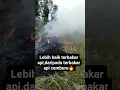 Download Lagu janganlah bermain api #jangkauansemuaorang #fypviral #lucu #fypyoutube #duet #sorotansemuaorang
