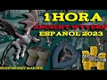 OSRS 1 HORA ANCIENT WYVERN 2023 BUEN PROFIT LA HORA AlexOSRS