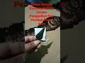 Download Lagu SEMAR MESEM KUNCUNG SUKMA // Sarana Pengasihan Dan Pemikat lawan Jenis Agar Cinta Kepada Kita //