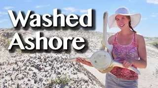 WASHED UP ON THE DUNES [Adventure #45]