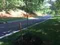 Smooth easy and beautiful Rebuilt Beach Drive segment to reopen next month