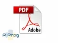 PDF file Reading and Extracting data using Python
