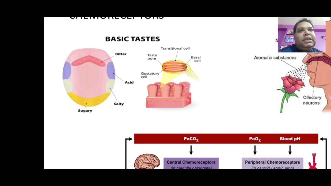 SENSORY TRANSDUCTION