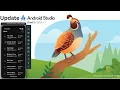 How to Update Android Studio to Latest Android Studio Quail 3 You Really Need to Update