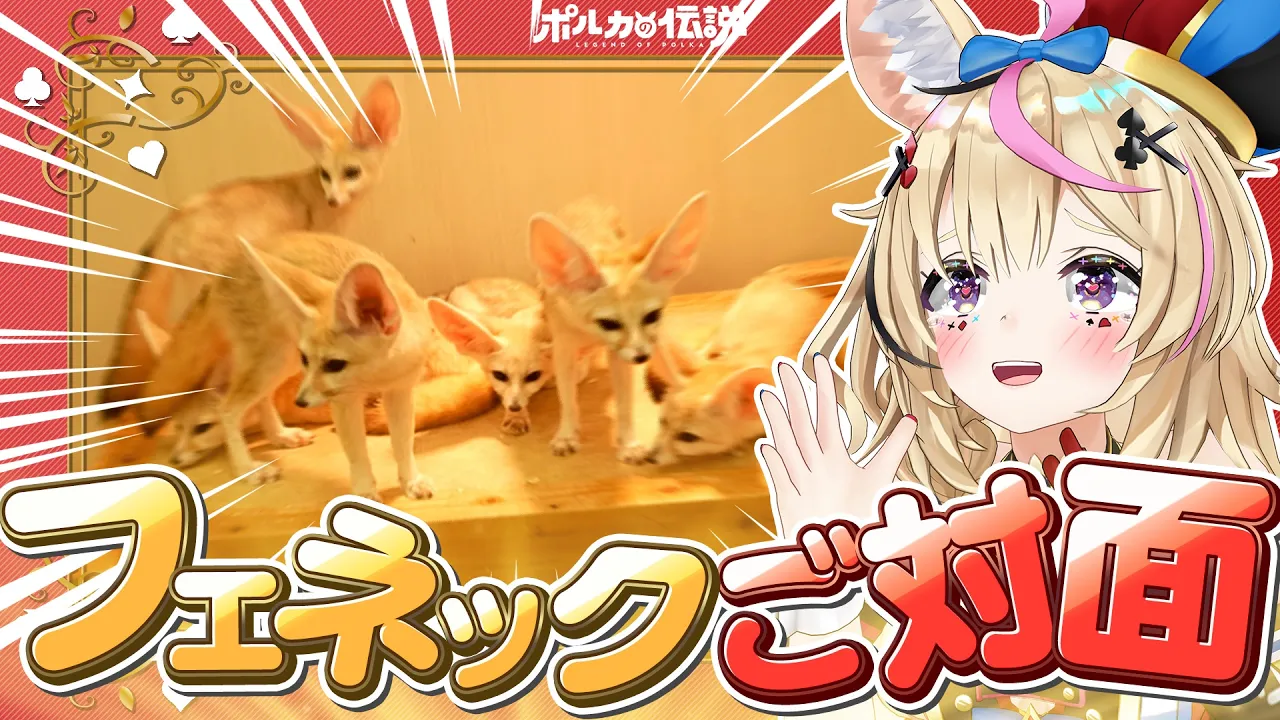 【ポルカの伝説】フェネックの三つ子にご対面！？