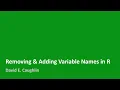 Removing Adding Variable Names in R