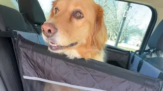 Comparing Two Dog Backseat Covers Review Rundown Backseat Extender for Dogs