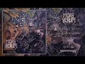 Lagu MORS VERUM (Canada) - Canvas FULL ALBUM STREAM (Death Metal) Transcending Obscurity Records