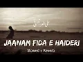 Lagu Jaanam Fida-e-Haideri (Slowed + Reverb) | Sadiq Hussain