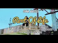 Download Lagu Root Of Life // Suqi Bless (Video Music)