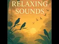 Relaxing Sounds – Jungle Birds Dawn Chorus | Sleep, Study, Focus | (8 Hours)