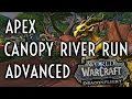 WoW Guide - Advanced Gold Apex Canopy River Run