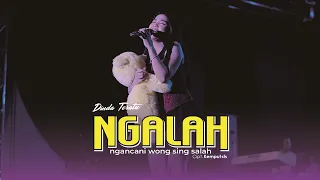 ngalah ngancani wong sing salah dinda teratu sts management official live music 