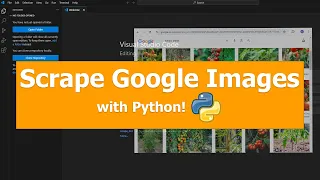 How to Scrape Images from Google with Python Selenium Step-by-Step Tutorial