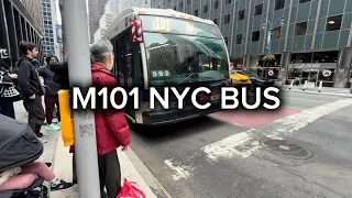M101 NYC Bus - 2026