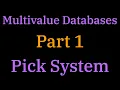 048 Multivalue DB Part 1 - Pick System