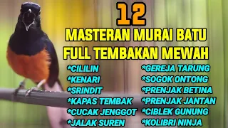 12 tembakan murai batu full isian mewah yang disukai juri 100 ampuh buat masteran