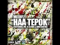 Download Lagu MeerFly - \
