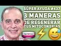 SUPER AYUDA 3 Maneras De Regenerar Tus Mitocondrias