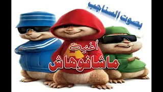 ماشفهاش دندنها