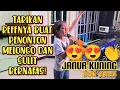 Download Lagu Janur Kuning_Dinda Asyinta (Live Cover). Bakat Yang Sangat Luar Biasa ! #dangdutviralterbaru2023