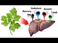 The Best Strategy for Detoxifying Heavy Metals SAFELY