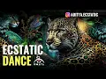 Download Lagu Jungle Medicine! ⚡ Shamanic Journey Ecstatic Dance by Dj Aditya