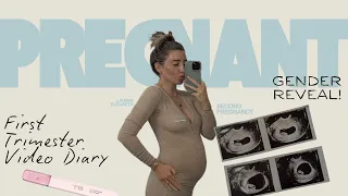 I'm Pregnant! First Trimester Diaries & Gender Reveal!