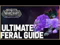 BASIC TO INTERMEDIATE FERAL DRUID GUIDE FOR DRAGONFLIGHT PREPATCH - Snapshotting Pandemics etc