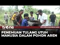 Misteri Penemuan Kerangka Manusia di Dalam Pohon Aren | AKIS tvOne