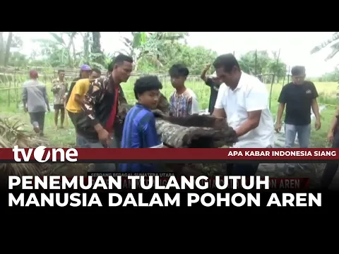Misteri Penemuan Kerangka Manusia di Dalam Pohon Aren