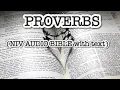PROVERBS NIV BIBLE with text