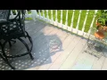 Superdeck Dock and Deck one year later