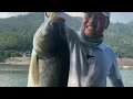 Download Lagu 永春給老大爺代釣鰱鱅，釣完結束了人呢！#钓鱼 #fishing
